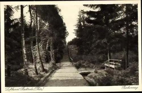 Ak Stadtroda an der Roda Thüringen, Zeitzgrund, Birkenweg