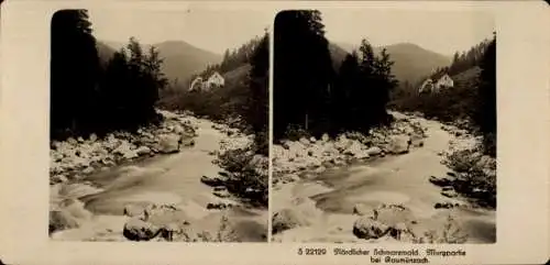 Stereo Foto Raumünzach Forbach im Schwarzwald, Murgpartie