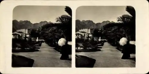 Stereo Foto Menton Alpes Maritimes, Die neuen Gärten