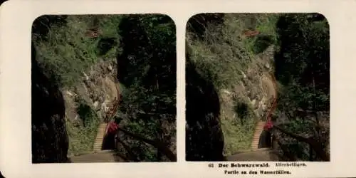 Stereo Foto Der Schwarzwald, Allerheiligen, Partie an den Wasserfällen