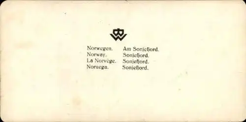 Stereo Foto Norwegen, Am Sonjefjord