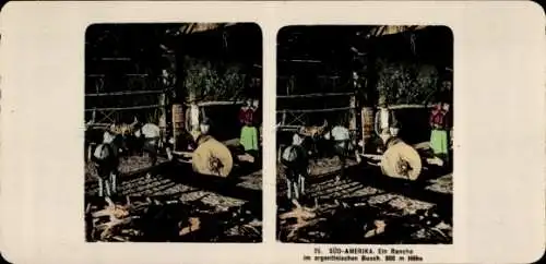 Stereo Foto Argentinien, Ein Rancho im argentinischen Busch