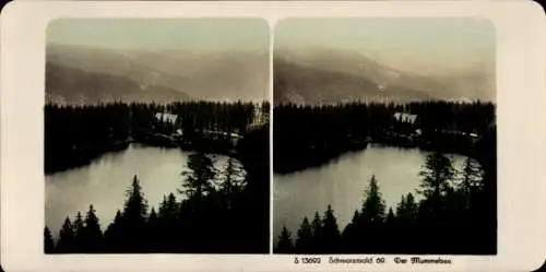 Stereo Foto Mummelsee Seebach im Schwarzwald Baden