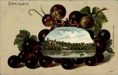 Präge Ak Dresden, Albrechtschlösser, Weintrauben