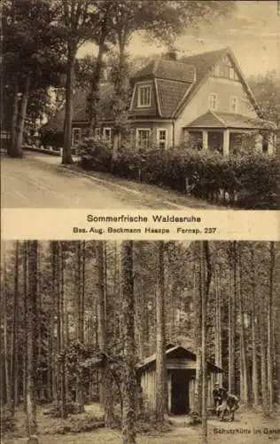 Ak Bramsche in Niedersachsen, Waldesruhe, Schutzhütte