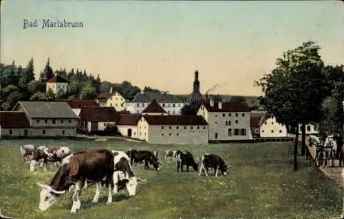 Ak Mariabrunn Röhrmoos in Oberbayern, Weidende Rinder, Stadtansicht