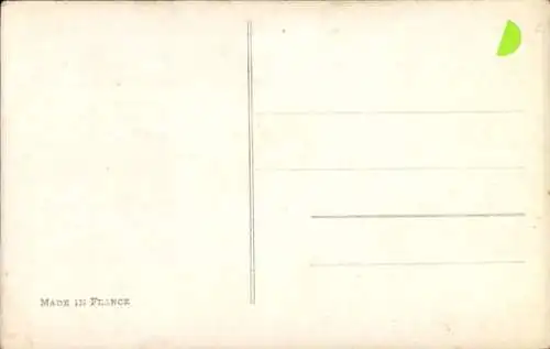 Ak Tierportrait, junge Katze, sitzend