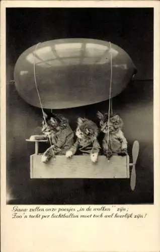 Ak Drei vermenschlichte junge Katzen in einem Luftschiff, Luftballon