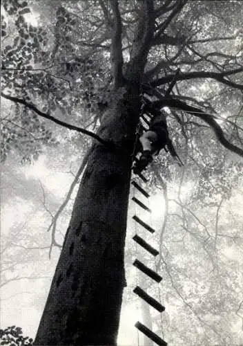 Ak Amelisweerd Utrecht 1982, Mann klettert auf einen Baum