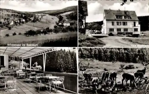 Ak Wildensee Eschau im Spessart, Haus Waldfrieden, Hirsche, Ort mit Umgebung