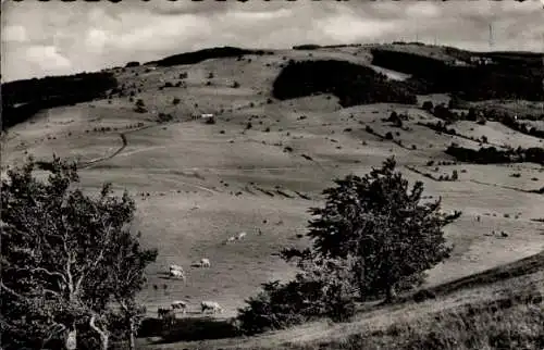 Ak Kreuzberg Bischofsheim Rhön, Panorama, Weiden