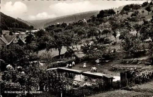 Ak Krausenbach Dammbach im Spessart, Teilansicht, Gasthaus und Pension Zum Spessart