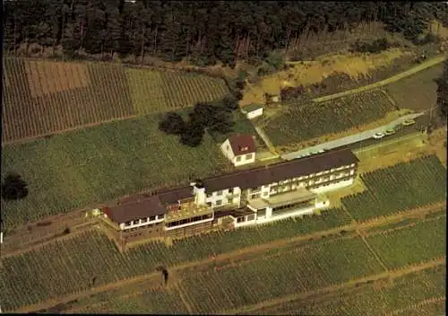 Ak Wasserlos Alzenau in Unterfranken, Schlossberg-Restaurant, Blick aus der Luft, Weinberge