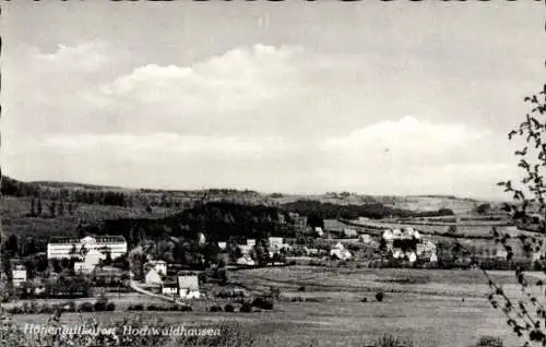 Ak Hochwaldhausen Ilbeshausen Grebenhain Hessen, Panorama