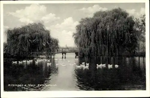 Ak Kitzingen in Mainfranken Bayern, Karpfenteich