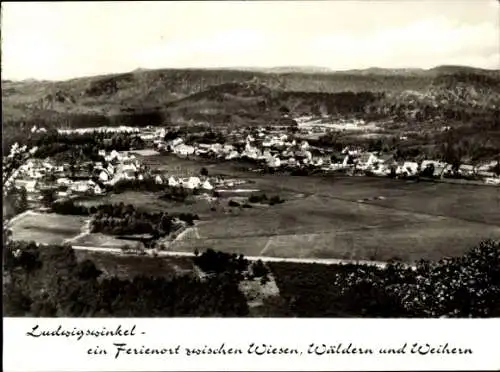 Ak Ludwigswinkel in der Pfalz, Panorama