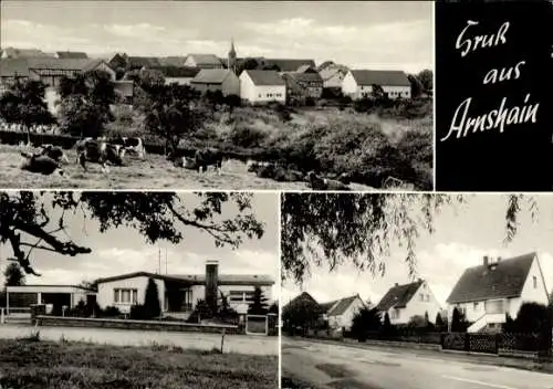 Ak Arnshain Alsfeld in Hessen, Teilansicht, Siedlung, Geschäft Heidemarie Kibler, Kühe weiden