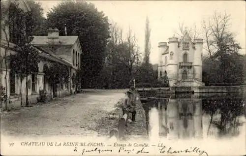 Ak Coye Oise, Chateau de la Reine Blanche, Etangs de Comelle