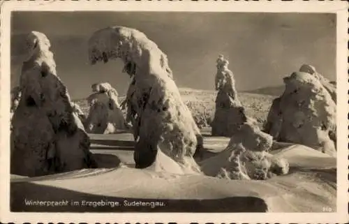 Ak Tschechien, Winterpracht im Erzgebirge, Sudetengau