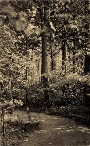 Ak Buysinghen Buizingen Flämisch-Brabant, Sanatorium de la Rose de la Reine, Gasse, Park