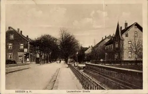 Ak Seesen am Harz, Lautenthaler Straße