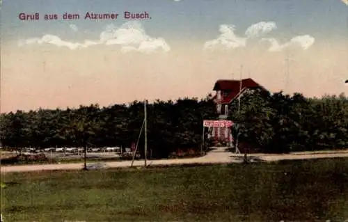 Ak Alzum Wolfenbüttel in Niedersachsen, Waldwirtschaft Alzumer Busch