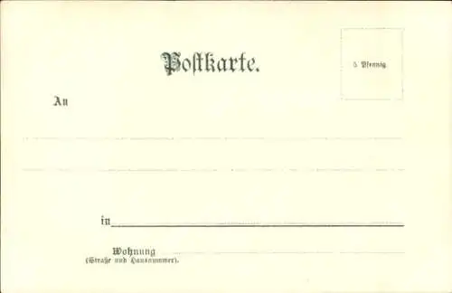 Künstler Litho Stöwer, W., Begleitdampfer während der Regatta, Segelboote