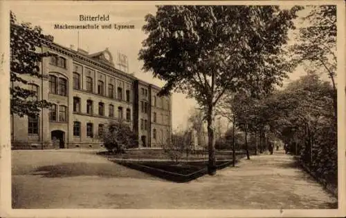 Ak Bitterfeld in Sachsen Anhalt, Mackensenschule, Lyzeum