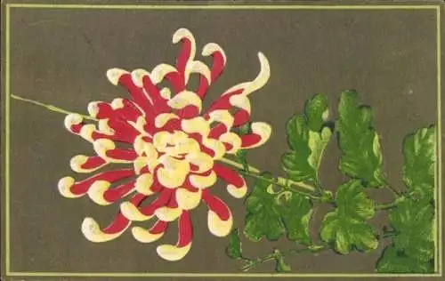 Präge Ak Blühende weiß-rote Blume