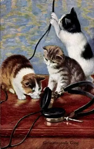 Ak Neugierige Katzen und Kopfhörer