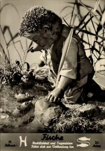 Ak Mecki der Igel, Sternzeichen Fische, Pisces, 19. Februar bis 20. März