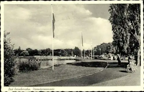 Ak Bad Zwischenahn in Oldenburg, Strandpromenade