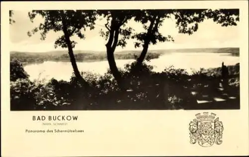 Ak Buckow in der Märkischen Schweiz, Bad Buckow, Schermützelsee, Panorama, Wappen