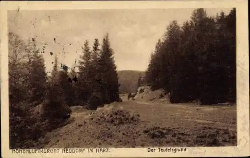 Ak Neudorf Harzgerode am Harz, Teufelsgrund