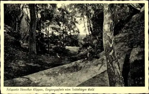 Ak Ibbenbüren in Westfalen, Dörenther Klippen, Felspartie, Eingangspforte Teutoburger Wald