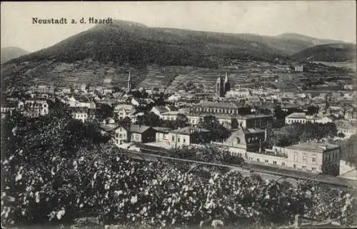 Ak Haardt Neustadt a.d. Weinstraße, Panorama der Stadt