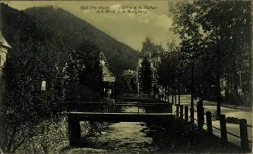 Ak Bad Harzburg am Harz, Partie an der Radau, Burgberg