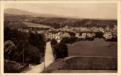 Ak Bad Soden am Taunus Hessen, Gesamtansicht, Blick von der Wilhelmshöhe