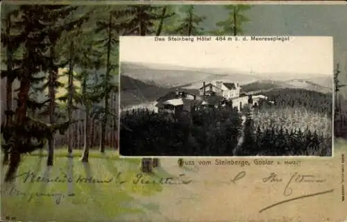 Ak Goslar am Harz, Steinberge, Steinberg Hotel