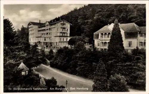 Ak Bad Harzburg, Dr. Strünckmanns Sanatorium, Burg