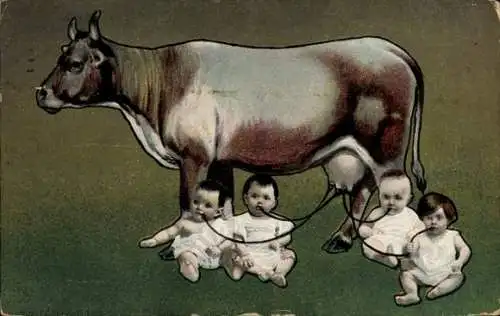 Ak Kinder trinken Milch aus dem Euter einer Kuh