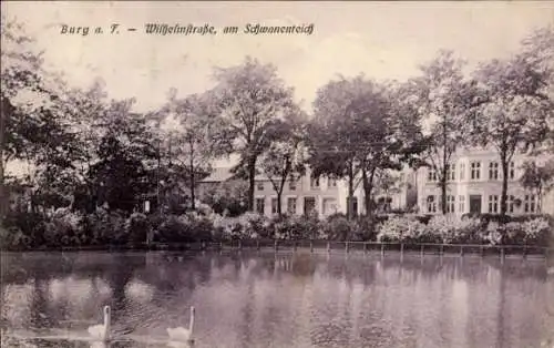 Ak Burg auf der Insel Fehmarn, Wilhelmstraße, Schwanenteich