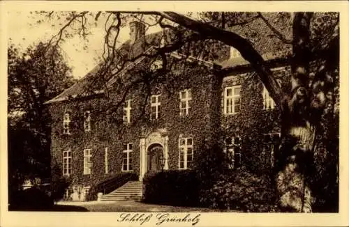 Ak Vogelsang Grünholz Damp in Schleswig, Schloss