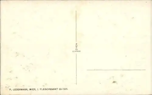 Ak Wien 19. Döbling, Reisenberg, Cobenzl, Schloss-Hotel, Inh. Hans Hübner