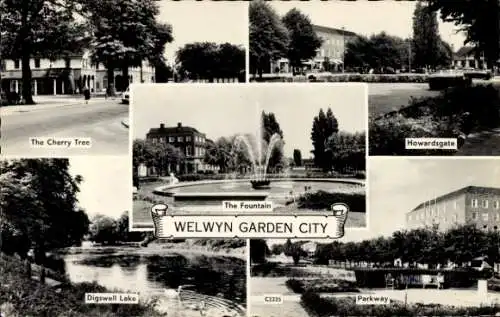 Ak Welwyn Garden City Ostengland, Kirschbaum, Digswell Lake, Howardsgate, Parkway