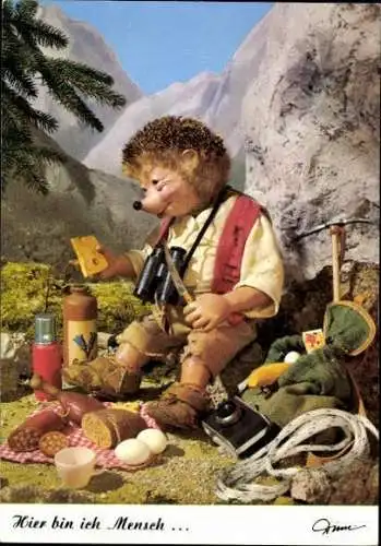 12 Ansichtskarten Mecki Igel, verschiedene Ansichten