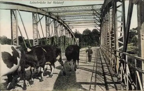 Ak Helstorf Neustadt am Rübenberge, Rinder mit Hirt auf der Leinebrücke