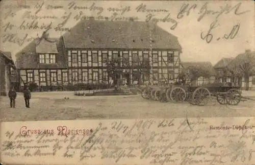 Ak Mariensee Neustadt am Rübenberge, Kloster Mariensee, Remonte Depot