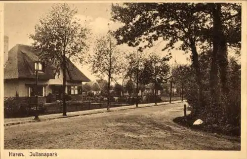 Ak Haren Groningen Niederlande, Julianapark