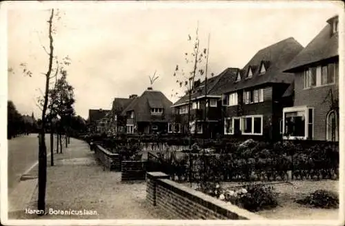 Ak Haren Groningen Niederlande, Botanicusslaan